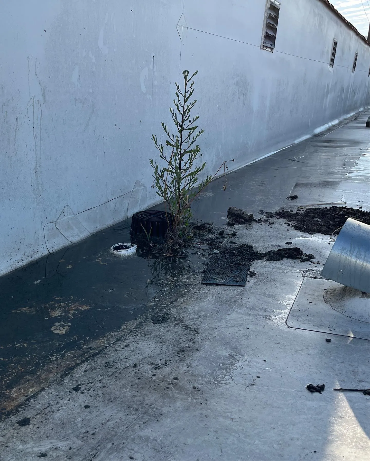 Ponding water showing a drainage problem on a flat roof