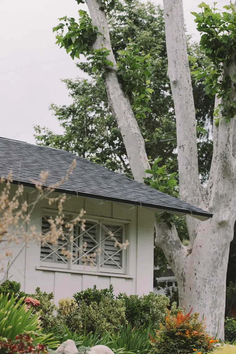 White cottage framed by a garden with a completed gray shingle roof