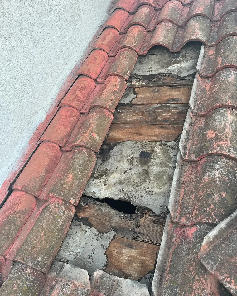 Damaged tile area opened to reveal exposed roof sheathing