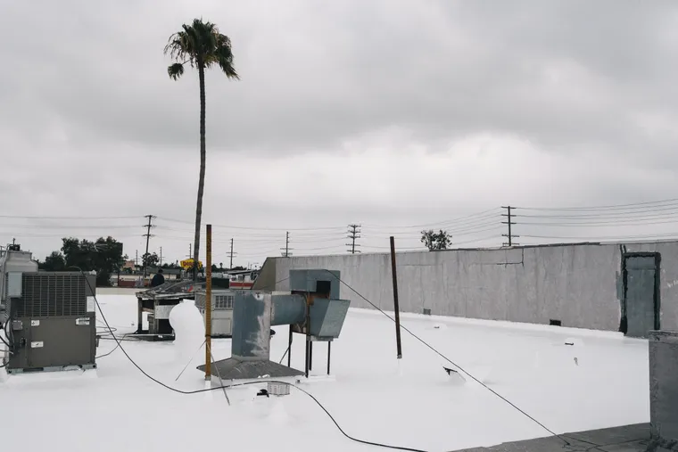 White-coated flat roof around HVAC ductwork with a palm tree beyond